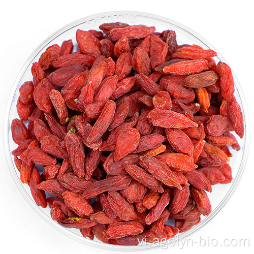 Wolfberry khô Lycium Barbarum Goji Berry để bán